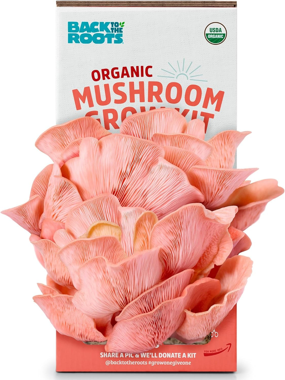 Organic Pink Mushroom Grow Kit, Harvest Gourmet Mushrooms in 10 Days