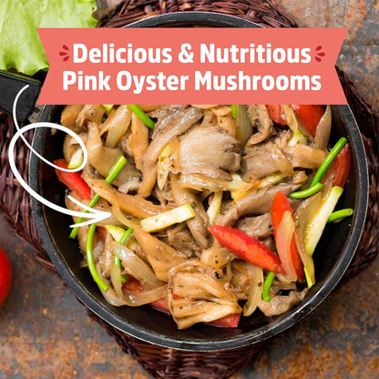 Organic Pink Mushroom Grow Kit, Harvest Gourmet Mushrooms in 10 Days